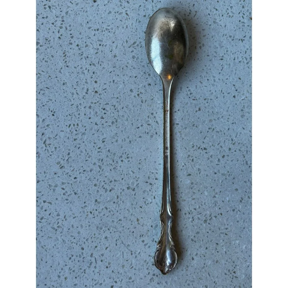 Vintage Rogers & Bro Southern Splendor Iced Tea Spoon Reinforced Plate